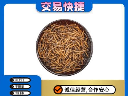 新竹市高价回收散虫草