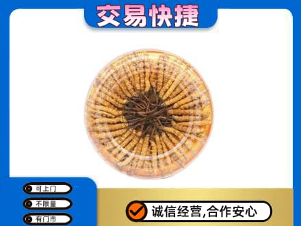 新竹市回收虫草礼盒